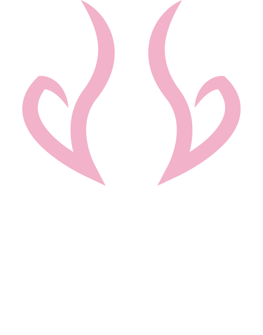 vãdi